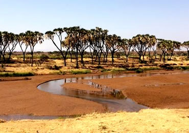 Part of the Ewaso Nyiro River - Samburu National Reserve